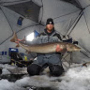 Meet your Posher, Nolan